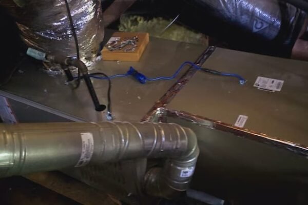 In Sacramento, mold in vents is very rare, although the conditions for it to grow can be present in air ducts due to the dark, damp nature of air ducts that they transport.